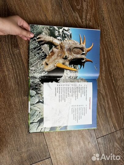 Детская книга Динозавры