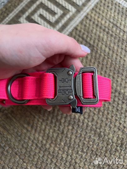 Ошейник для собак