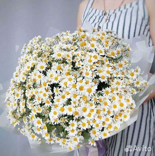 Цветы ромашки. Букеты ромашек. Цветы доставка