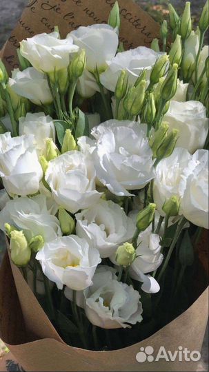 Букет цветы эустома