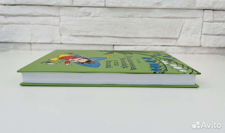 Книга Н.Носов Приключения Незнайки - 1 шт