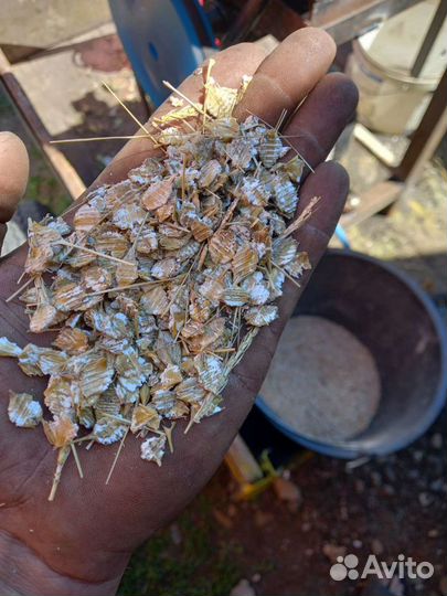 Плющилка для зерна