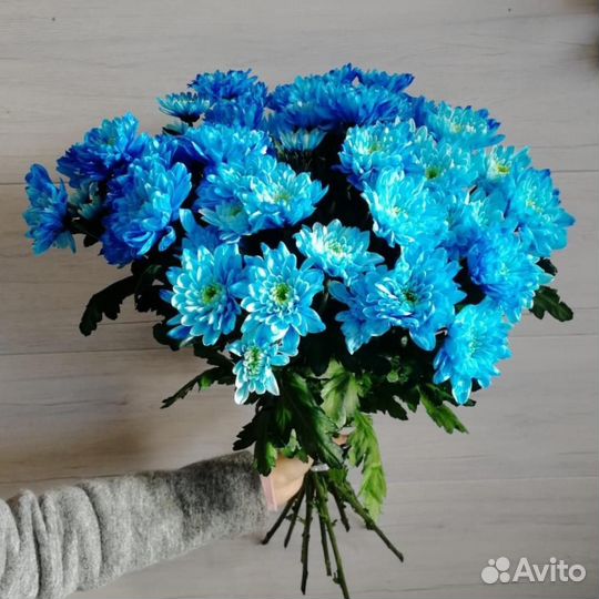Цветы Хризантема с доставкой Котовск