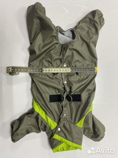 Костюм для собаки демисезонный