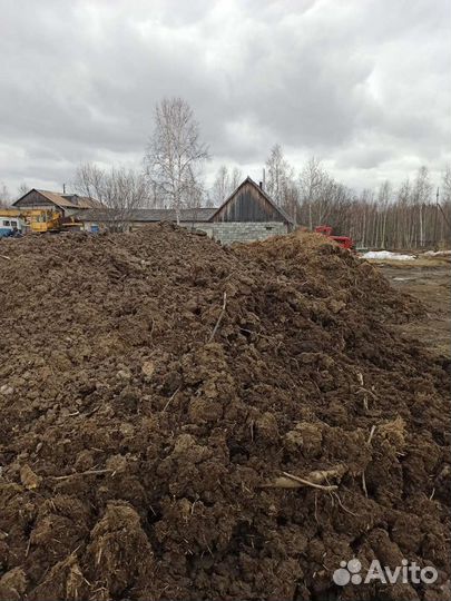 Навоз (Коровий)