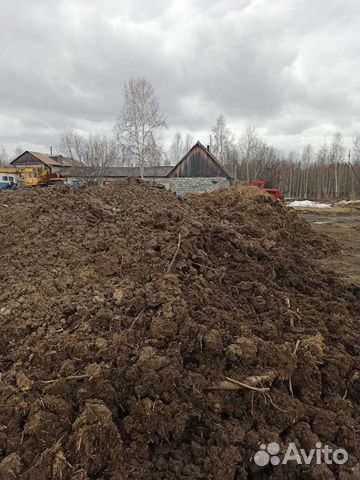 Навоз (Коровий)