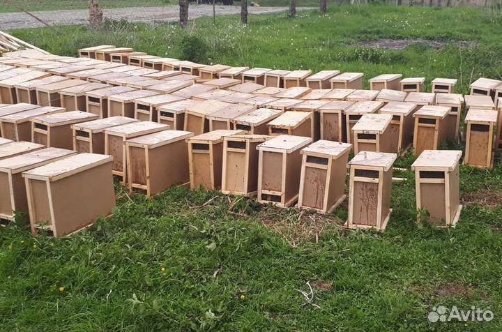 Пчелопакеты с селекционными матками 2023 года