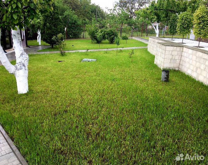 Семена газонной травы для школ, садов