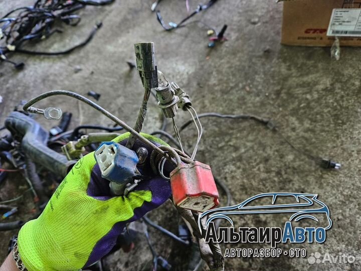 Моторная проводка Renault Logan K7M коса подкапотн