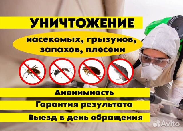 Уничтожение тараканов клопов Дезинфекция Травля объявление продам