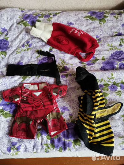 Одежда для собак