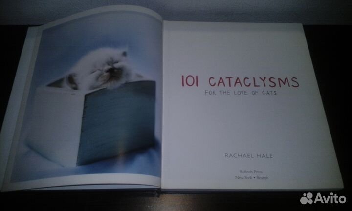 101 cataclysms rachael hale