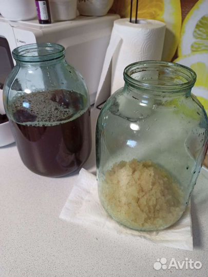 Квасной рис