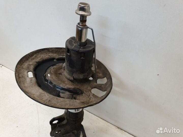 Амортизатор передний правый Toyota Camry V70 2018