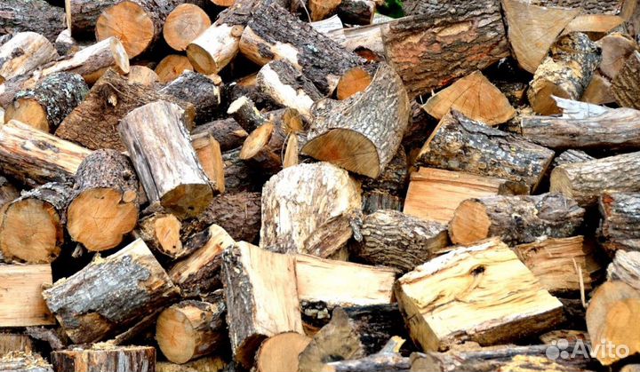 Дрова ольха осина