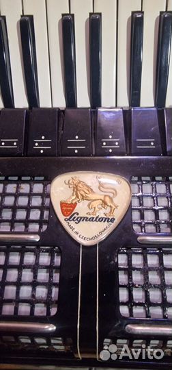 Аккордеон аида 3