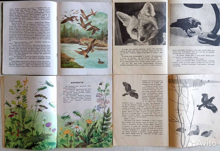 Детские книги СССР - О природе, животных, стихи