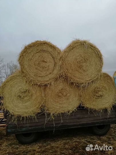 Солома Пшеничная, Овсяная