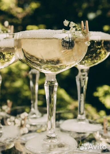 Выездной Бар