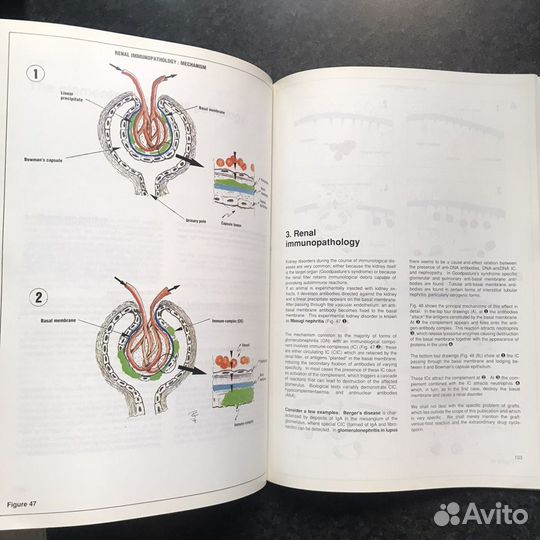 2 книги + атлас по аллергологии, всё на английском