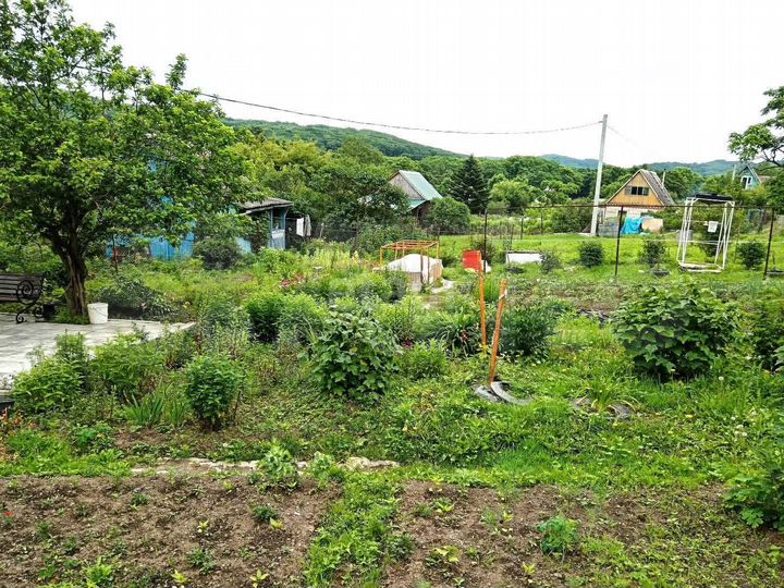 Дача 19 м² на участке 9 сот.