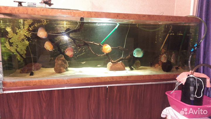 Украшения для аквариума