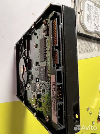 Жёсткий диск Samsung