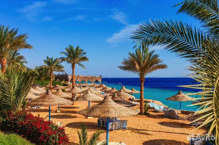 Путевка в Шарм-Эль-Шейх от 6 дней