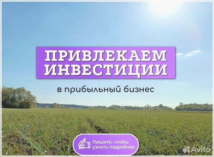 Поиск инвестора гарантированный доход