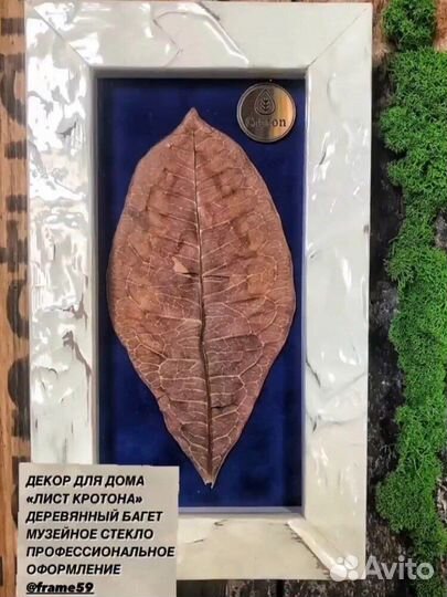 Настенный эко-декор