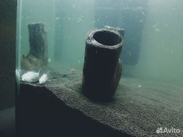 Аквариум 60 х 40 х 30