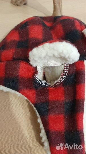 Обувь для маленьких собак