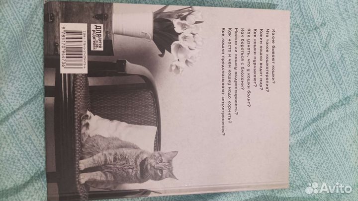 Книга про кошек