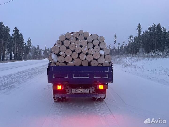 Продам дрова (береза сухие)