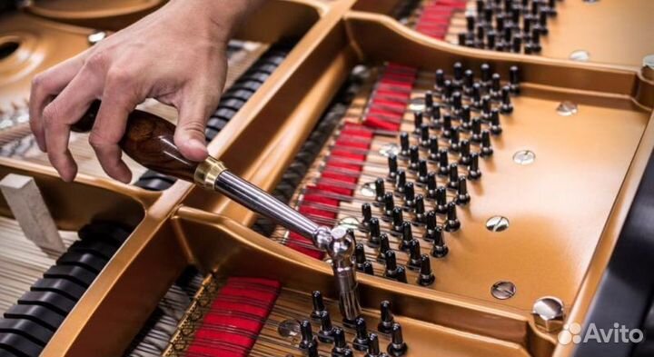 Настройка фортепиано