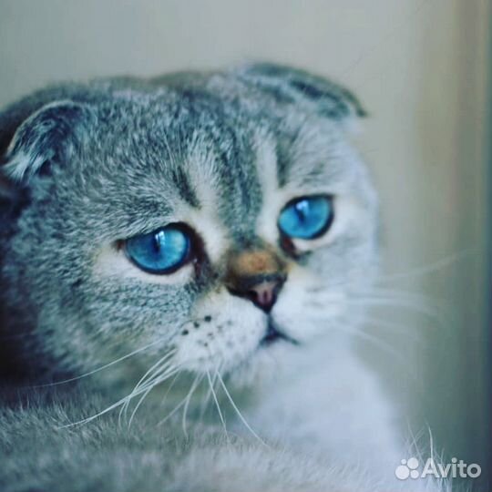 Вязки,Тоннели