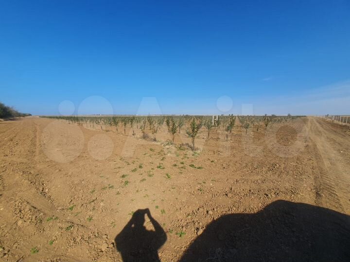 Участок 45 га (СНТ, ДНП)