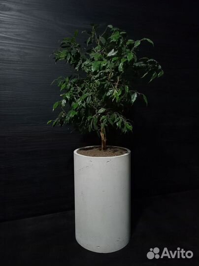 Вазоны, Горшки, Кашпо под заказ из бетона арт 140