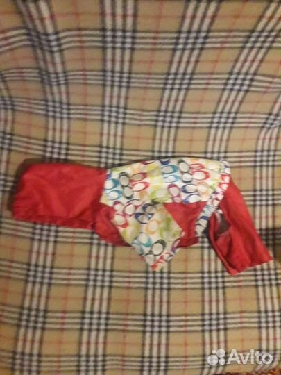 Дождевик для собаки