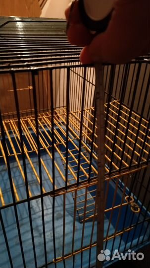 Клетка для грызунов б/у