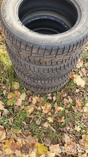 Nokian Tyres Nordman 5 195/65 R15 95