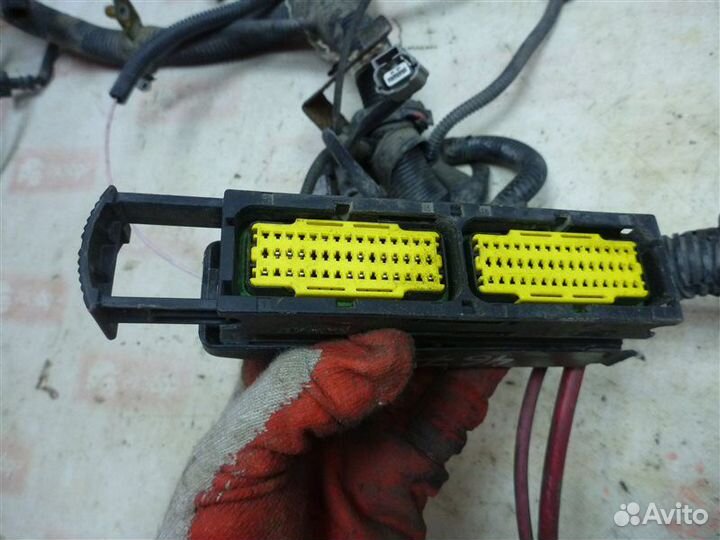 Проводка моторного отсека Renault Sandero BS12