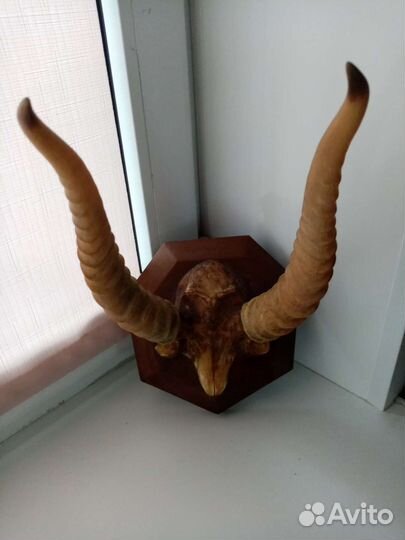 Вешалка настенная