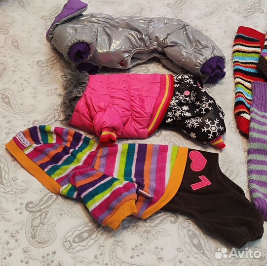 Одежда для собак мелких пород