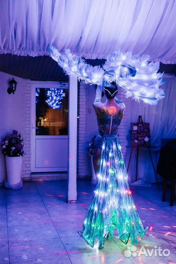 Шоу балет Павлин