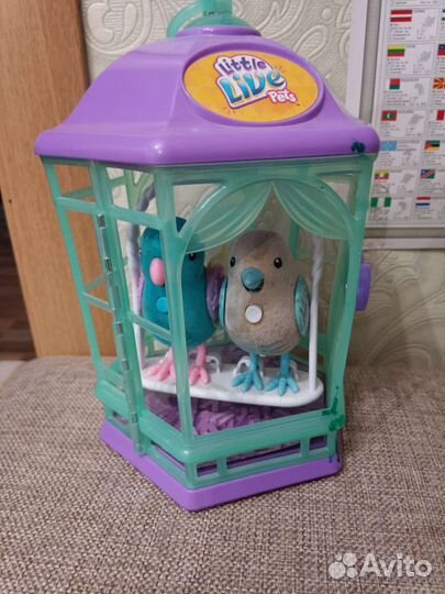 Птички повторюшки