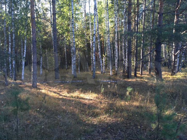 Участок 30 сот. (СНТ, ДНП)