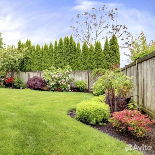 Газон рулонный в наличии