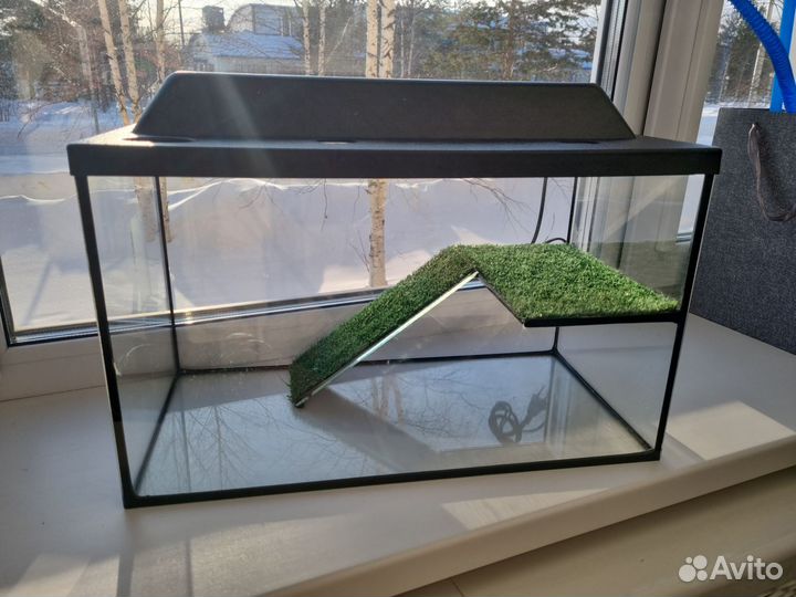 Террариум для красноухой черепахи