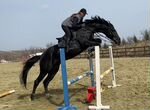 Занятия по конному спорту